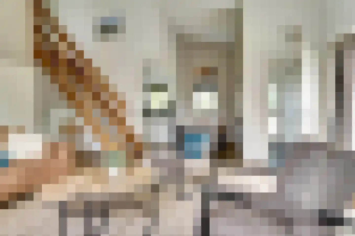 Christoffellaan 65 Brouwershaven thumbnail 10