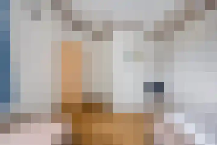 Christoffellaan 66 Brouwershaven thumbnail 15