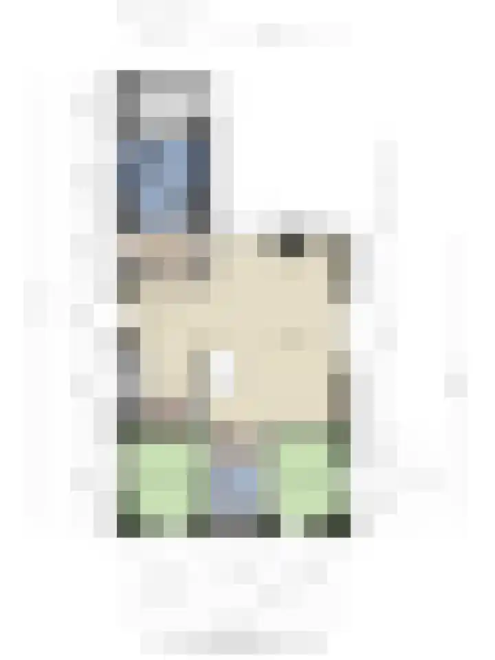 Christoffellaan 66 Brouwershaven thumbnail 22