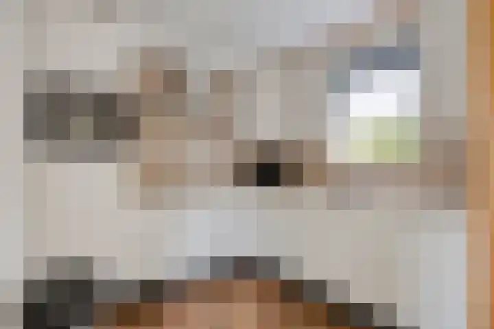 Christoffellaan 66 Brouwershaven thumbnail 9