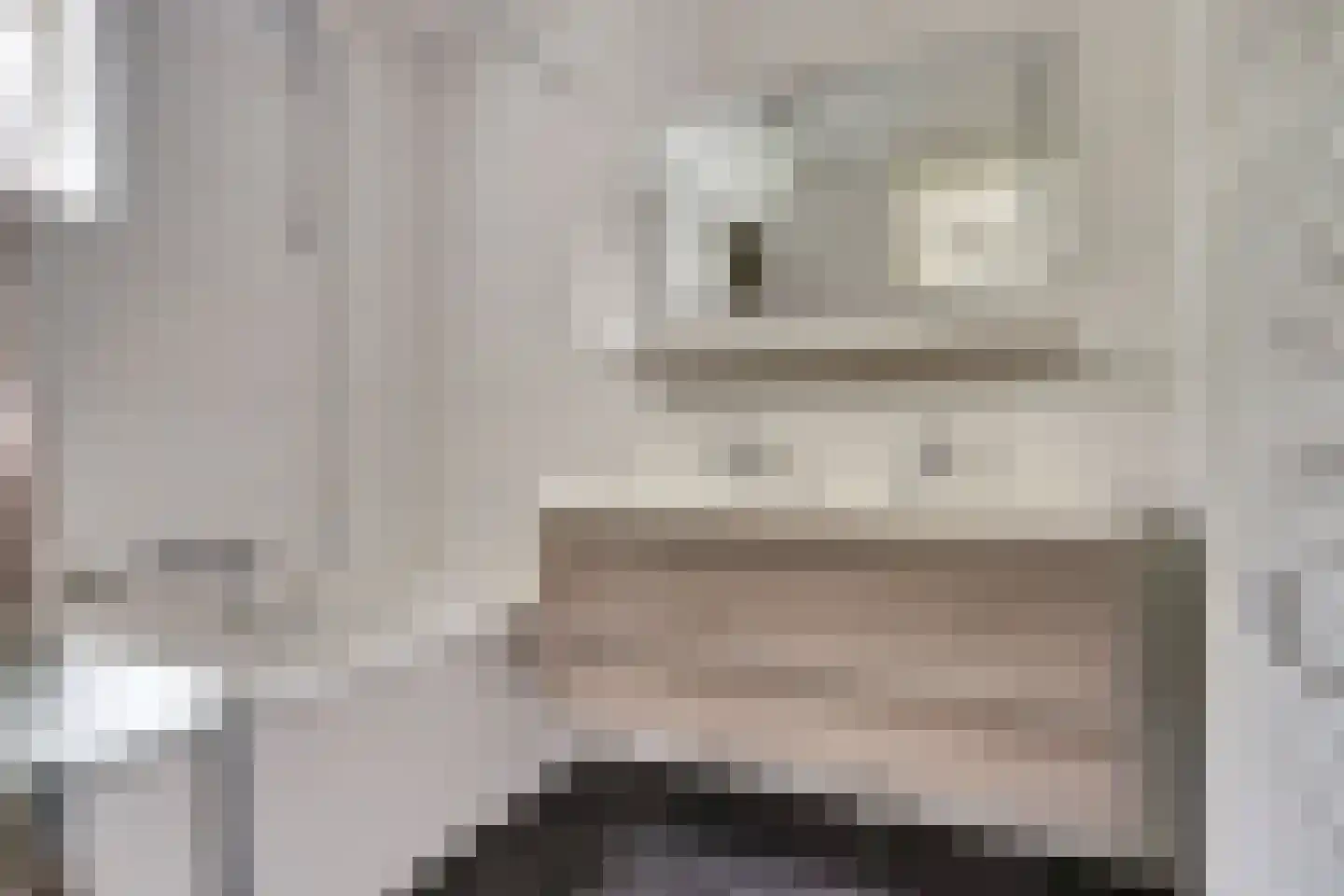 Christoffellaan 81 Brouwershaven thumbnail 11