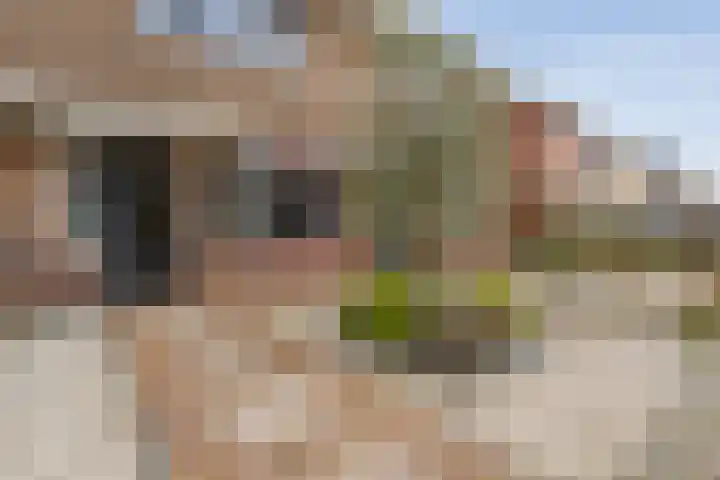 Christoffelstraat 16 Almelo thumbnail 5