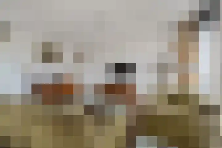 Christofoor 204 Sint-Michielsgestel thumbnail 4