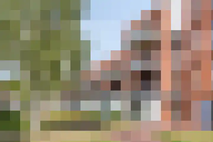 Christofoor 224 Sint-Michielsgestel thumbnail 4