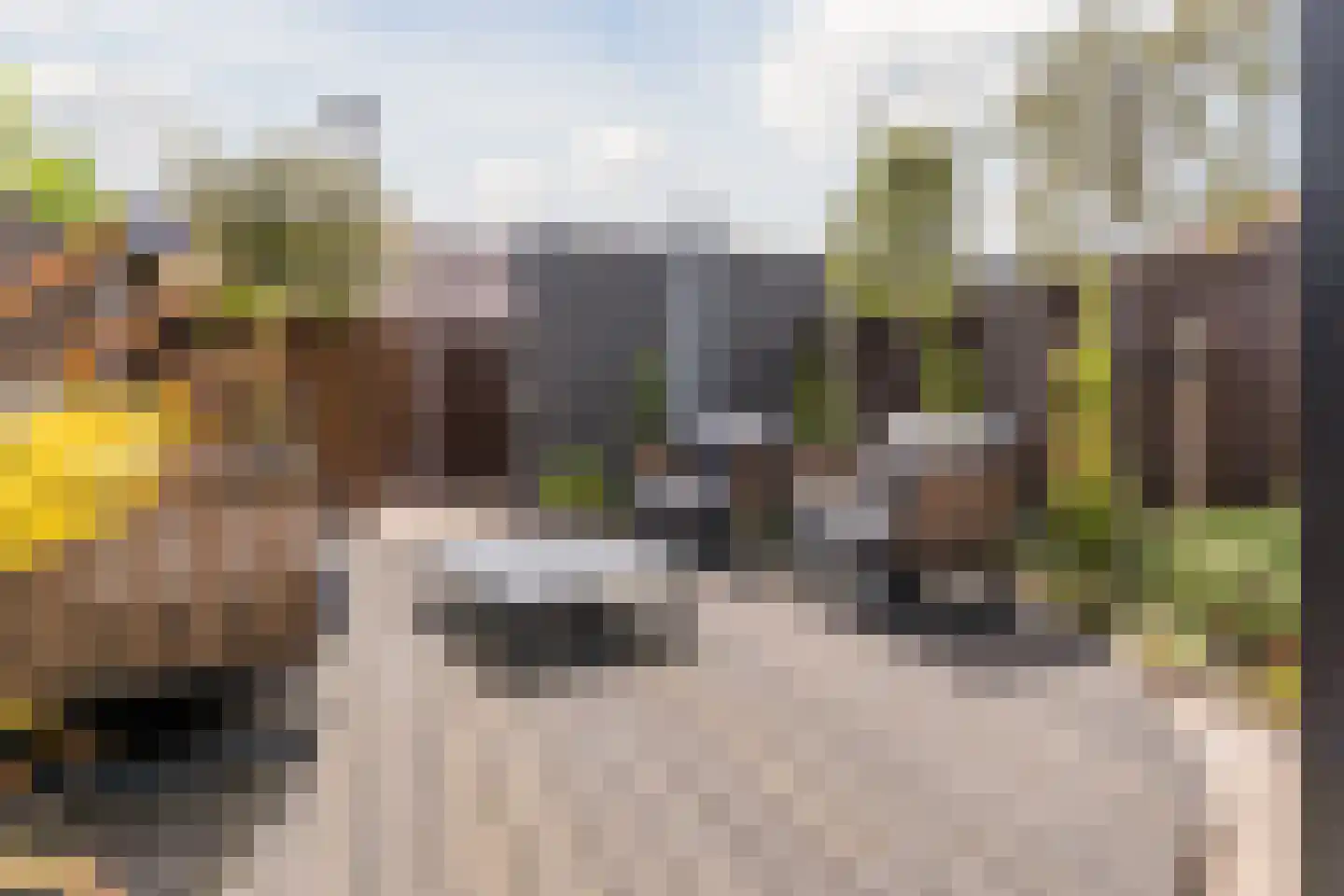 Christopher Marlowelaan 43 Hoofddorp thumbnail 79