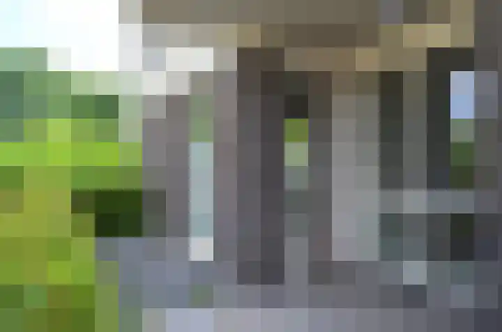 Chromerij 3 Waalre thumbnail 15