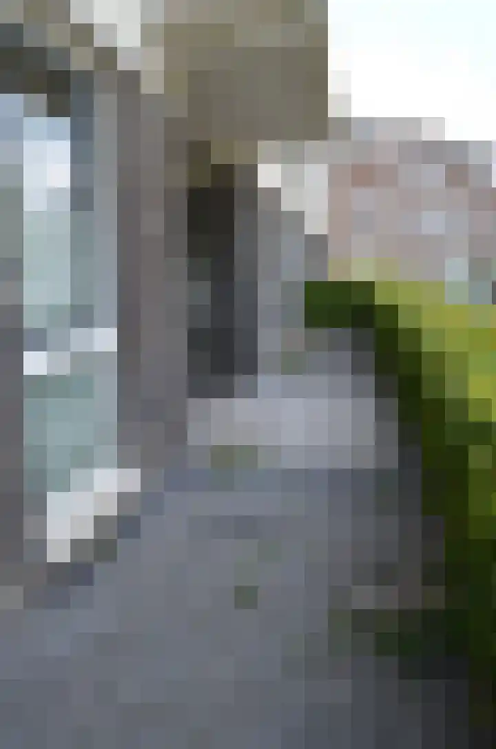 Chromerij 3 Waalre thumbnail 16