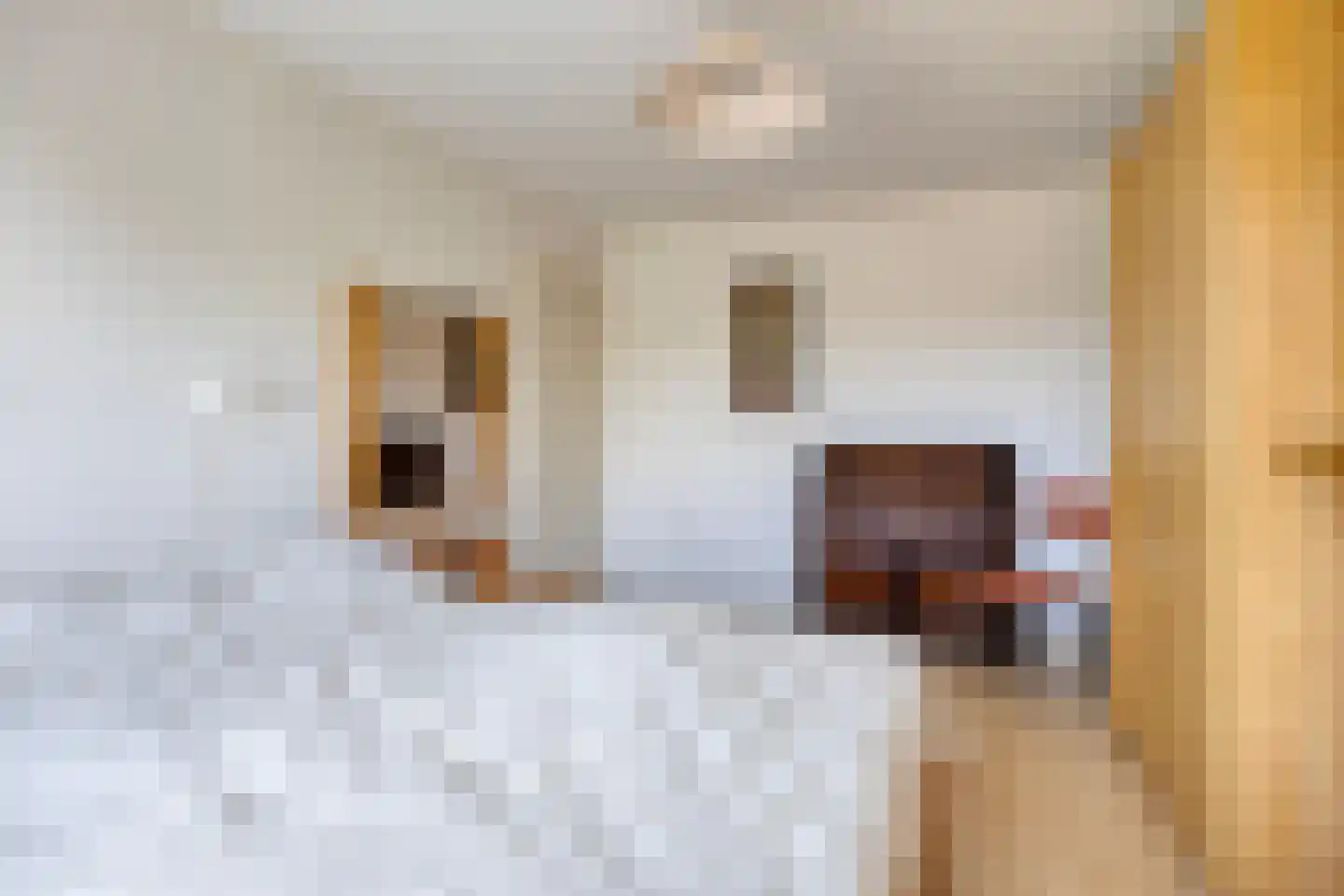 Chromietdijk 29 Roosendaal thumbnail 18