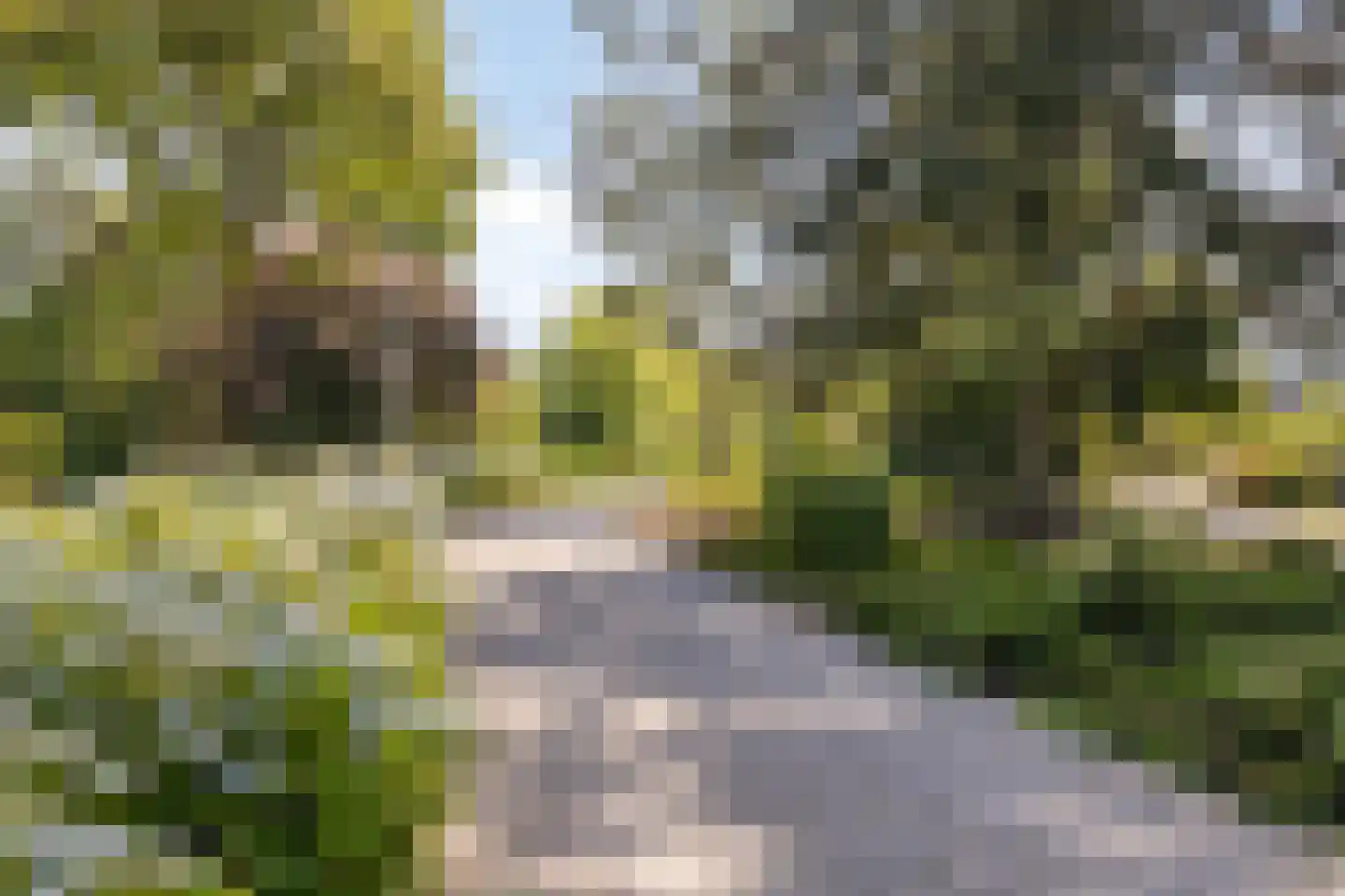 Chromietdijk 29 Roosendaal thumbnail 34