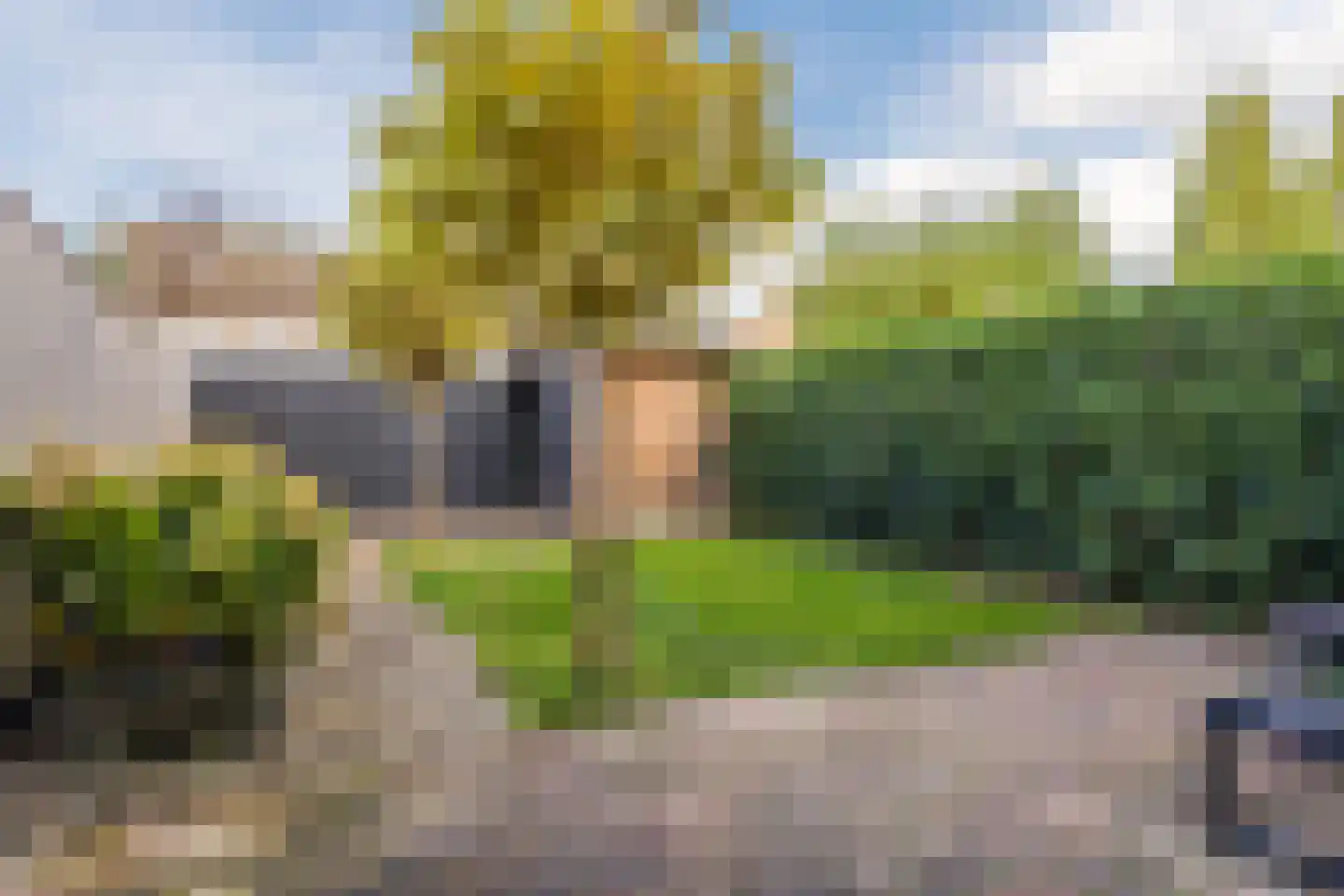 Chromietdijk 43 Roosendaal thumbnail 49