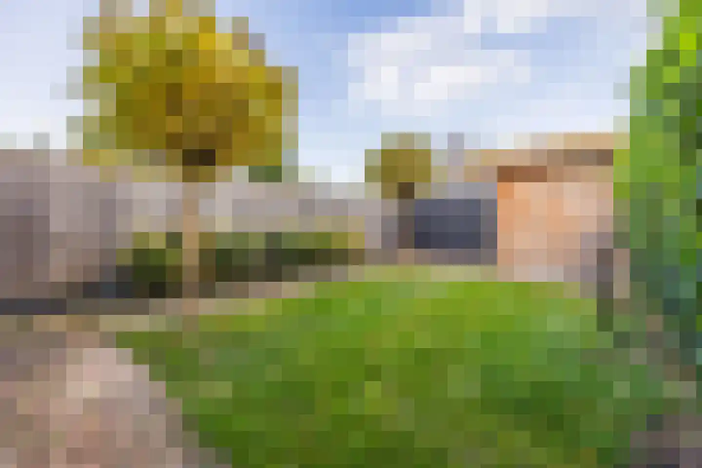 Chromietdijk 43 Roosendaal thumbnail 52