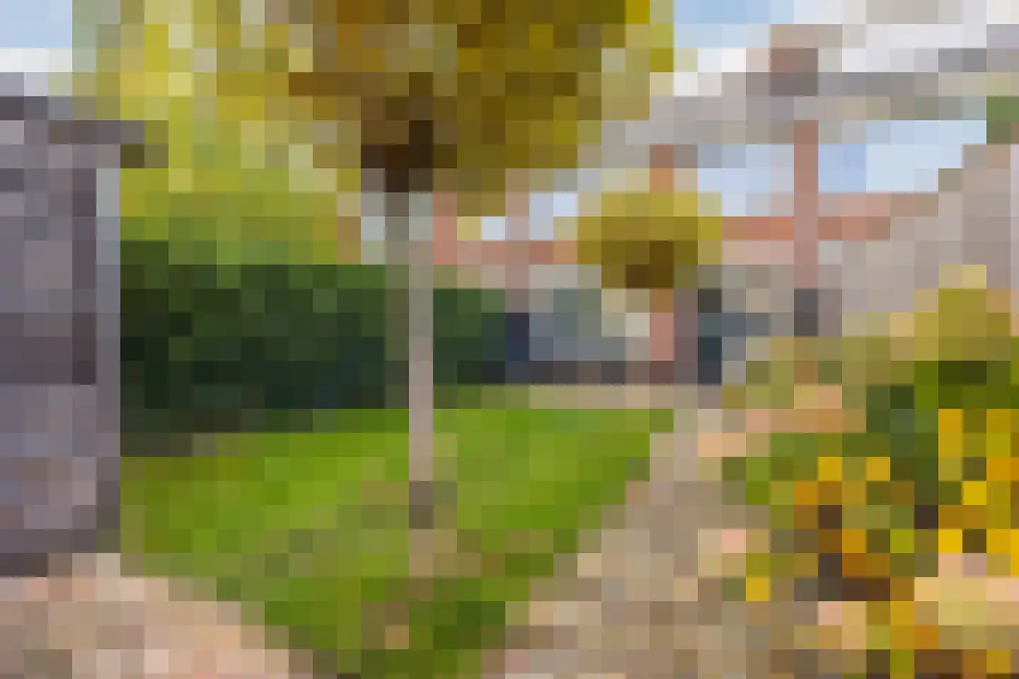 Chromietdijk 43 Roosendaal thumbnail 56