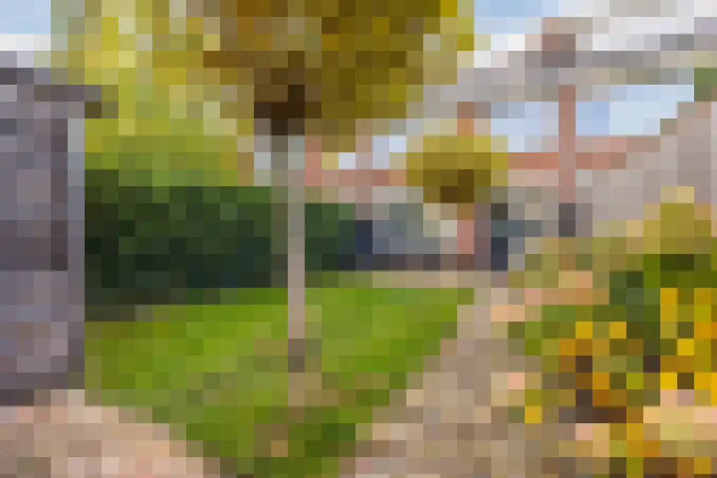 Chromietdijk 43 Roosendaal thumbnail 7