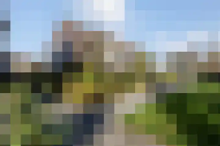 Chromietdijk 87 Roosendaal thumbnail 4