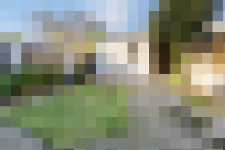 Chromietdijk 87 Roosendaal thumbnail 46