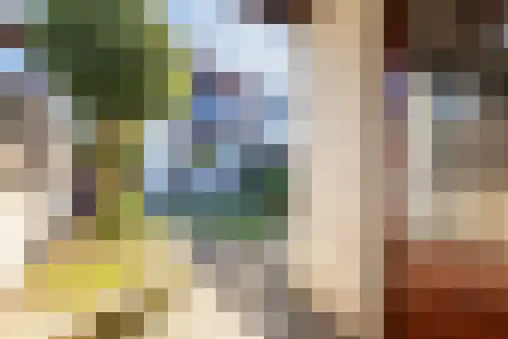 Chromietdijk 87 Roosendaal thumbnail 48