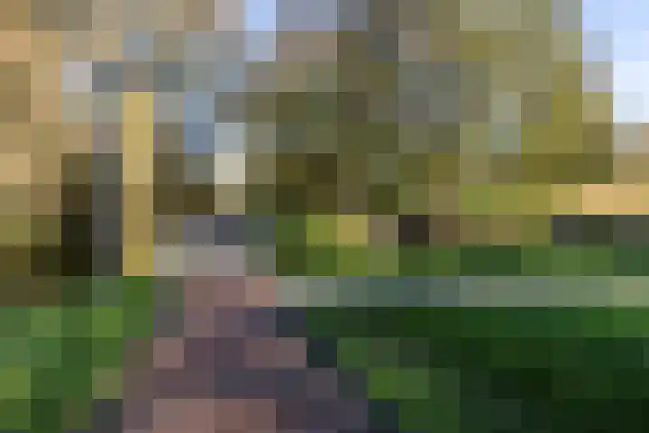 Chromietdijk 87 Roosendaal thumbnail 53