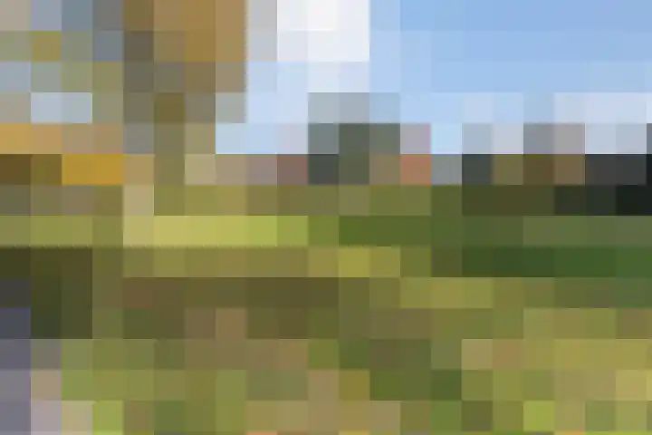 Chromietdijk 87 Roosendaal thumbnail 54