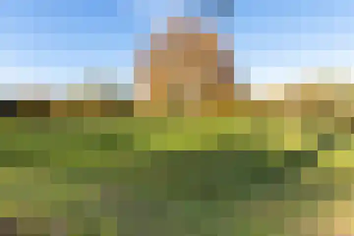 Chromietdijk 87 Roosendaal thumbnail 55