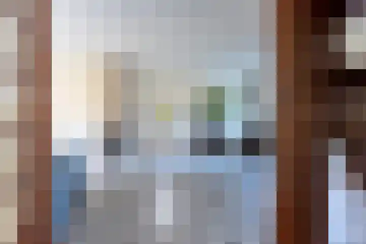 Chromietdijk 87 Roosendaal thumbnail 8