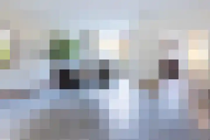 Chromietdijk 87 Roosendaal thumbnail 9