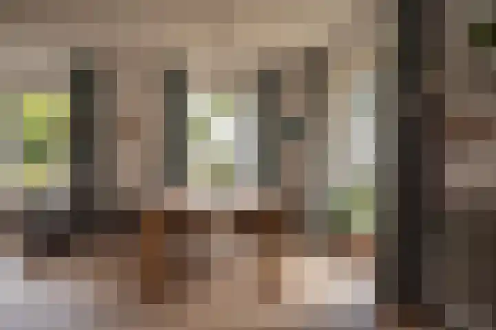 Chrysant 22 Ens thumbnail 12