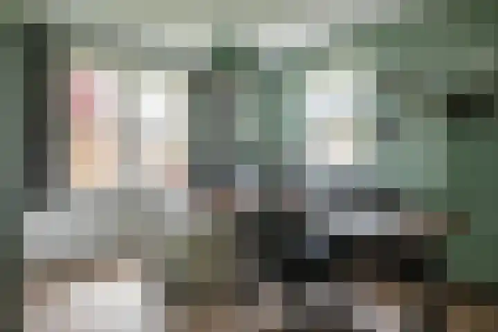 Chrysant 22 Ens thumbnail 20