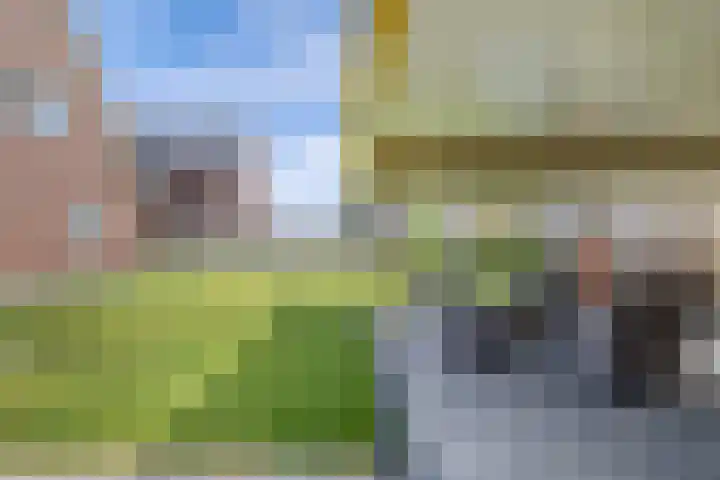 Chrysant 22 Ens thumbnail 26