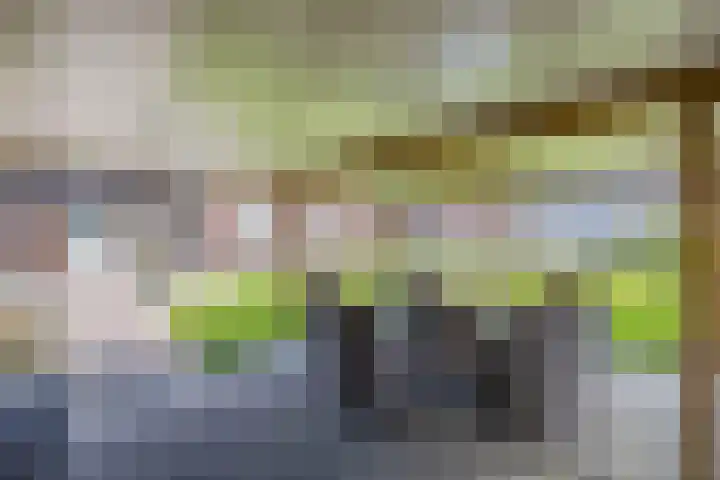 Chrysant 22 Ens thumbnail 27