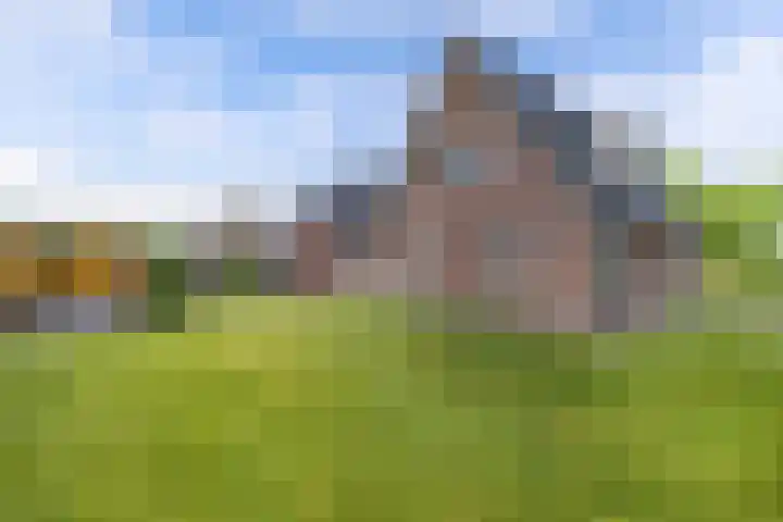 Chrysant 22 Ens thumbnail 29