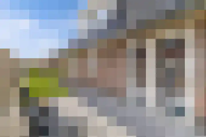 Chrysant 22 Ens thumbnail 32