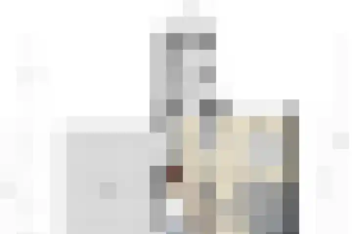 Chrysant 22 Ens thumbnail 35