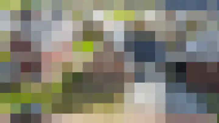 Chrysant 22 Ens thumbnail 46