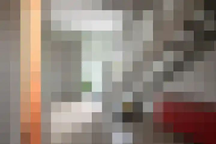 Chrysant 22 Ens thumbnail 9