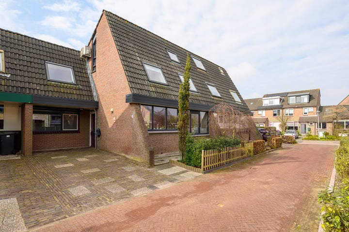 Chrysant 9 en De Lier foto