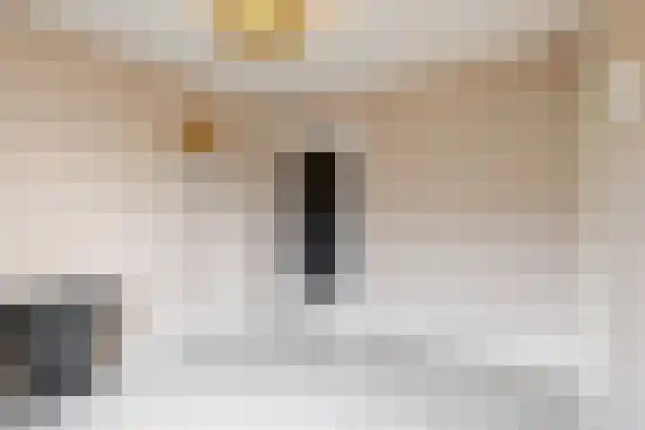 Chrysantenlaan 10 De Kwakel thumbnail 19