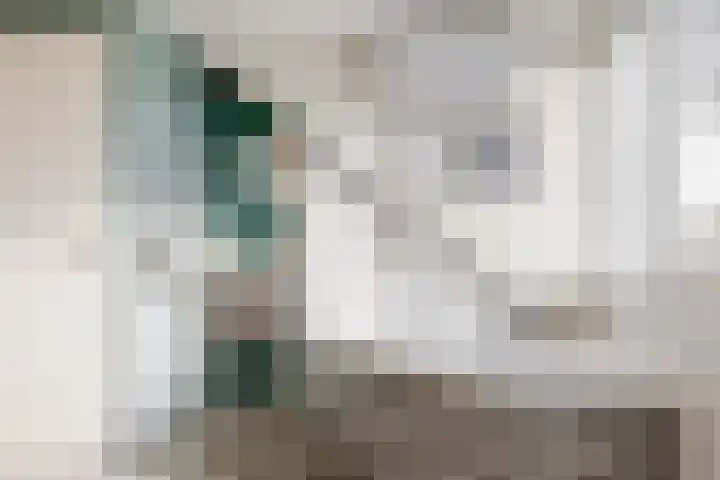 Chrysantenlaan 10 De Kwakel thumbnail 26