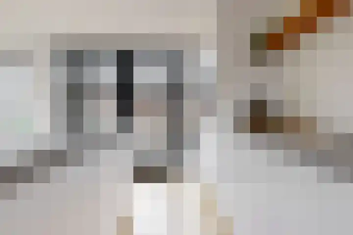 Chrysantenlaan 10 De Kwakel thumbnail 8