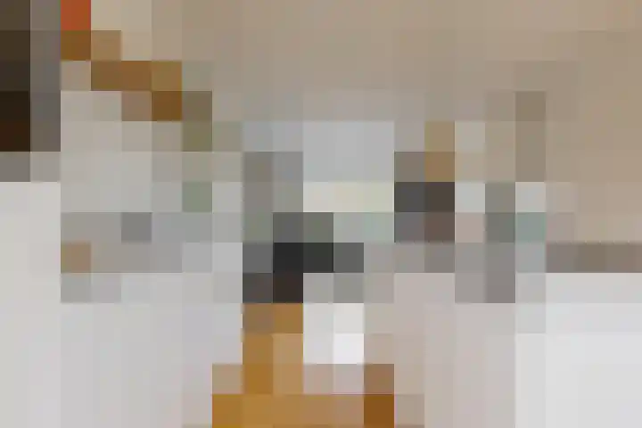 Chrysantenlaan 10 De Kwakel thumbnail 9