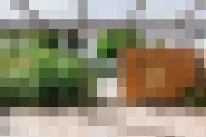 Chrysantenlaan 4 Winsum thumbnail 47