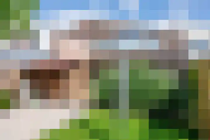Chrysantenlaan 4 Winsum thumbnail 54