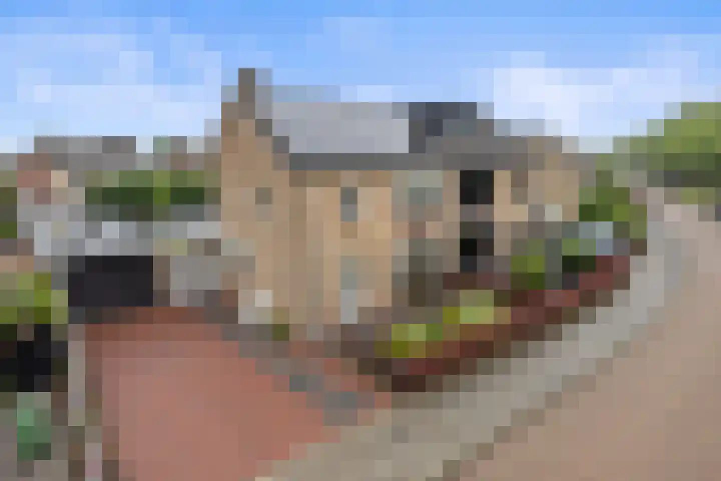 Chrysantenstraat 1 Drunen thumbnail 53