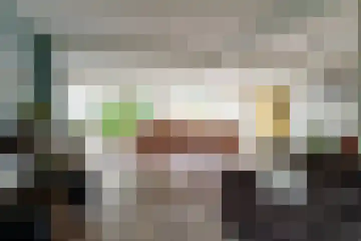 Chrysantenstraat 2 Wijk en Aalburg thumbnail 9