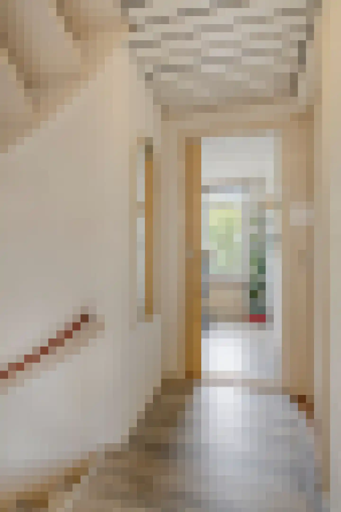 Chrysantenstraat 25 Eindhoven thumbnail 20