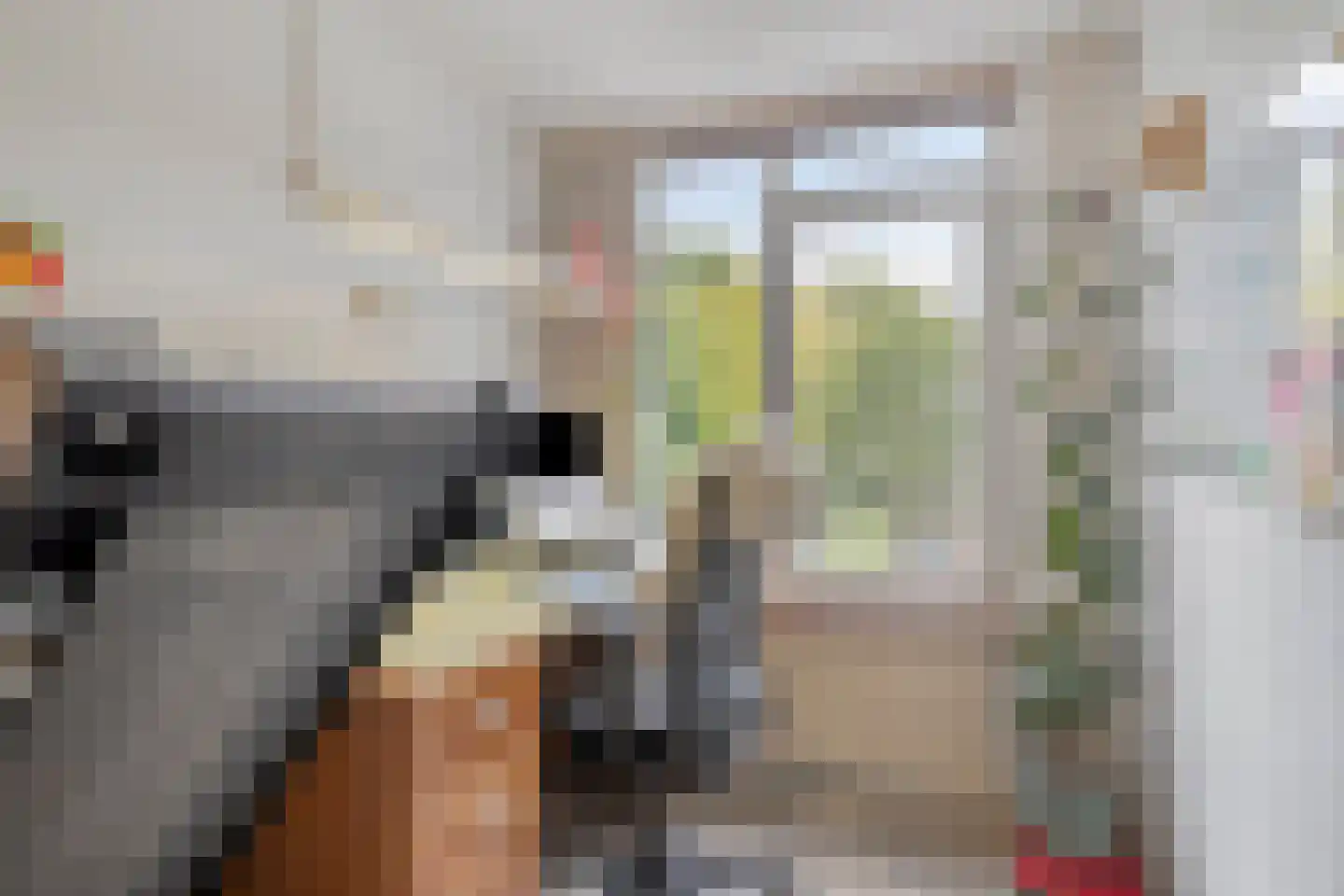 Chrysantenstraat 25 Eindhoven thumbnail 26