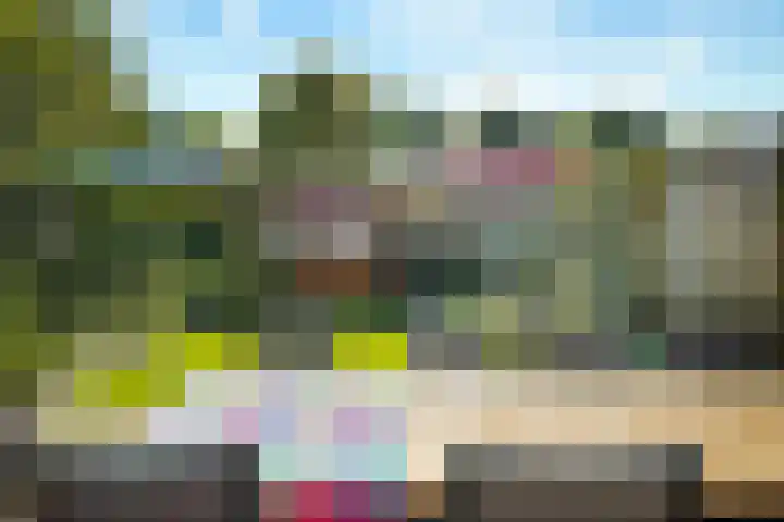 Chrysantenstraat 29 Eindhoven thumbnail 29