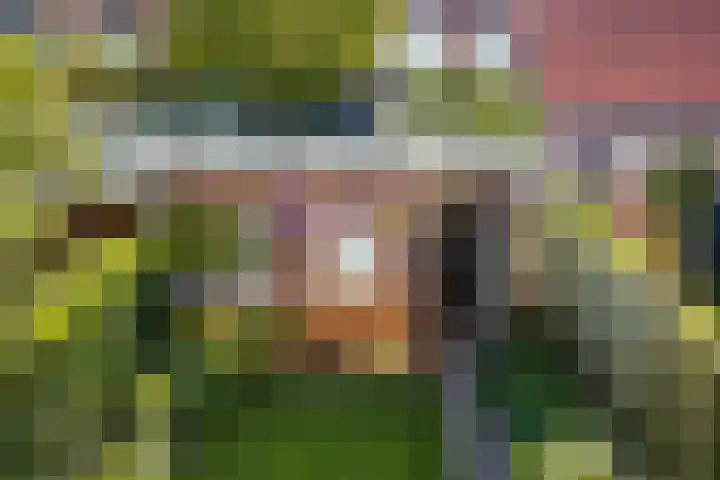 Chrysantenstraat 29 Eindhoven thumbnail 31