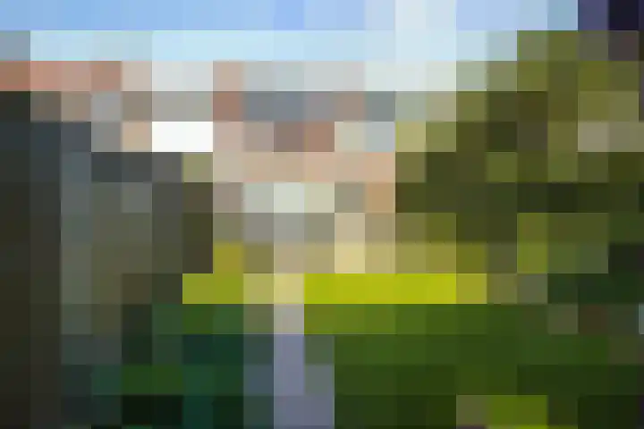 Chrysantenstraat 29 Eindhoven thumbnail 34