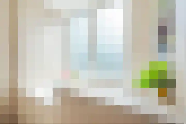 Chrysantenstraat 29 Eindhoven thumbnail 50