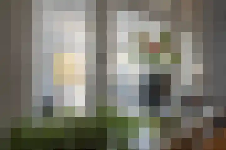 Chrysantenstraat 31 Aalsmeer thumbnail 14